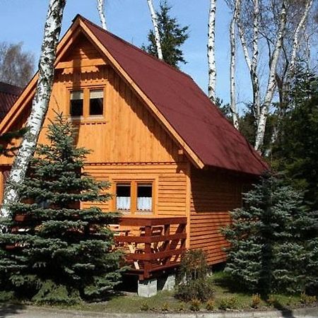 Filarówka Vila Łeba Exterior foto